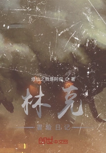 Link's Adventure Diary