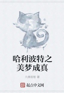 Harry Potter Dreams Come True