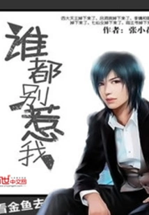 Don't Mess with Anyone