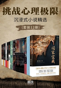 Selection of Immersive Novels (set of 12 Volumes)