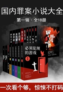 Complete Collection of Domestic Crime Novels (1) (18 Volumes in Total)