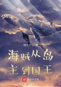 Pirates from Island Owner to King