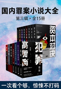Complete Collection of Domestic Crime Novels·third Series (15 Volumes in Total)