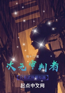 Dimension Judge, Only Martial Arts Simulator