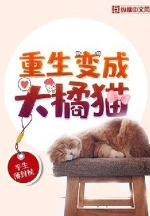 Reborn as a Big Orange Cat