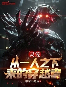 Spirit Cage: the Traveler Who Came Down from under One Person