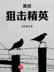 American Variety: Sniper Elite