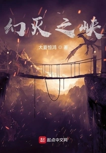 Gorge of Disillusionment