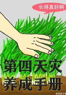 The Fourth Disaster Development Manual