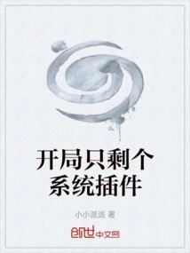 There is Only One System Plug-in Left at the Start