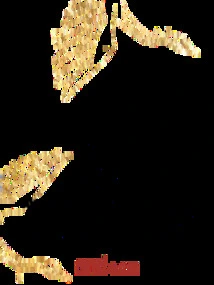 Start from the Infinite Continent