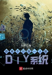 Turns Out I'm Not the Only One Who Can Diy the System