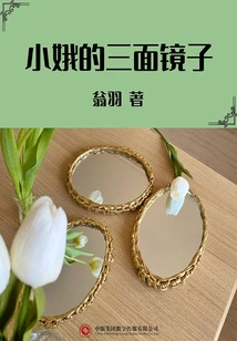 Xiao'e's Three Mirrors