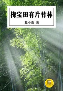 Mei Bao's Bamboo Forest (a Good Chinese Novel)