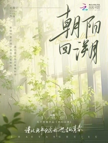 Looking Back at the Rising Sun