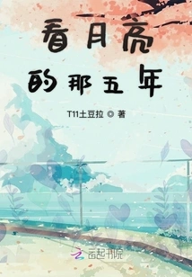 Those Five Years of Looking at the Moon