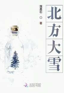 Heavy Snow in the North