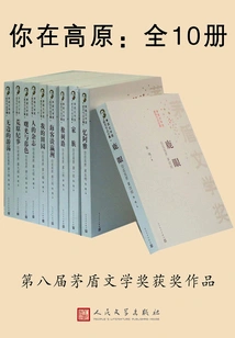 You Are on the Plateau (10 Volumes in Total)