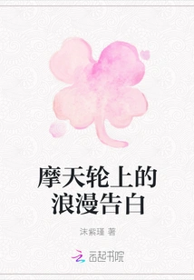 Romantic Confession on the Ferris Wheel