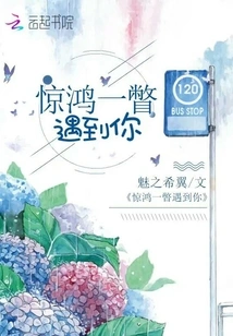 I Met You at a Sudden Glance