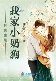 Mr. Lin is My Little Puppy