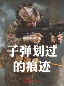 Bullet Marks