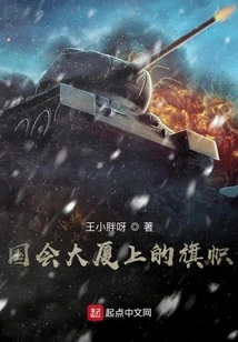 Flag on Capitol Building