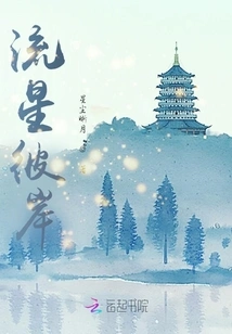 The Other Side of the Shooting Star