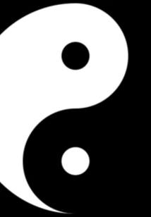 Fish Flying Shallow Bottom