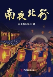 South Night Travel North