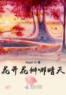 Flowers Bloom Petals on a Sunny Day