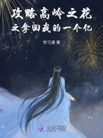 Raiders of the Flower of the High Mountains: Get Back My 100 Million