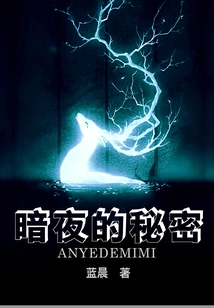 The Secret of the Dark Night