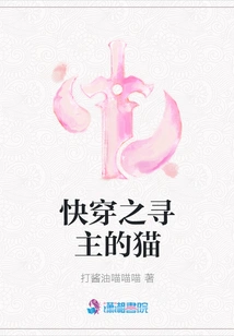 Quick Travel: the Cat Seeking Its Master