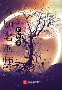 The Journey of an Unknown Wizard