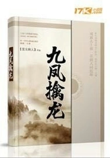 Nine Phoenixes Capture the Dragon