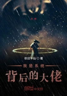 I'm the Guy Behind the System