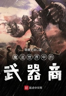 Weapons Dealer in the Wizarding World