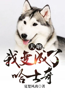 Oh My God, I Turned into a Husky!