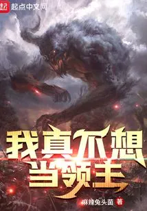 I Really Don't Want to Be a Lord