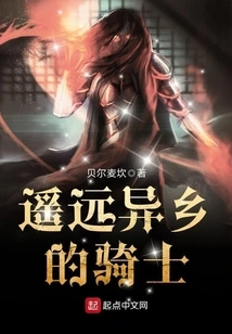 Knight in a Faraway Land