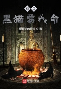 There's a Black Cat That's Going to Kill Me