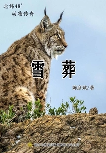 Snow Burial (animal Novel at 48 Degrees North)