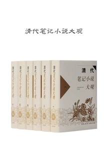 A Comprehensive View of Qing Dynasty Notebook Novels