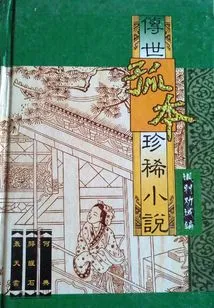 Hong Tian Lei (a Rare Novel Handed Down from Generation to Generation)