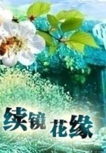 Continuing the Mirror of Flowers