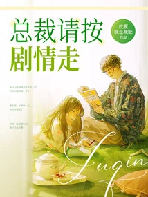 President, Please Follow the Plot