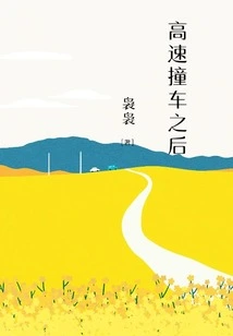 After a High-speed Crash