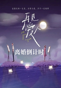 Goodbye Love: Countdown to Divorce