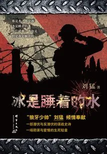 Ice is Sleeping Water